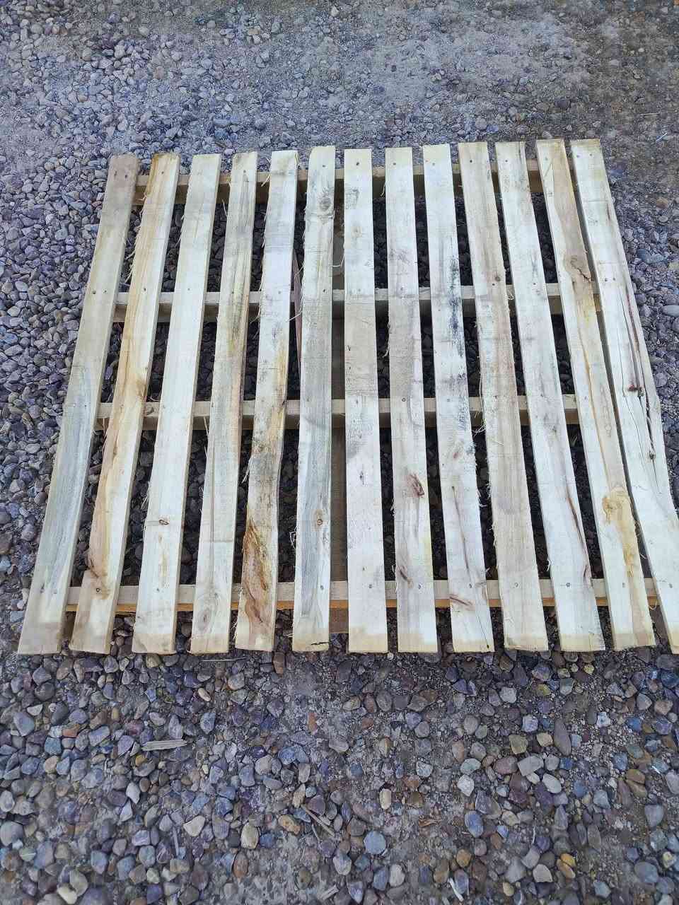 سكيب عدد 100سكيبه
مكاني بغداد ***********واتس او اتصال
