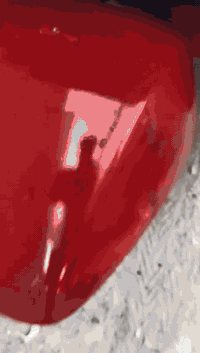 سلام عليكم تكتك موديل 18 شهر 4رقم وسنويه بسمي شرط تحويل ثاني يوم مكفوله مبدله دوسات ومصبوغه عام تكتك بجهك الشارع سعره 4800 وبيها مجال مكاني جزيره بغداد سياحية رقمي متواجد بكل برامج تواصل مو شراي لا تعبني رقمي ***********
