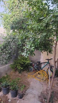 بيت للبيع • ٢٠٠متر • كربلاء طويريج