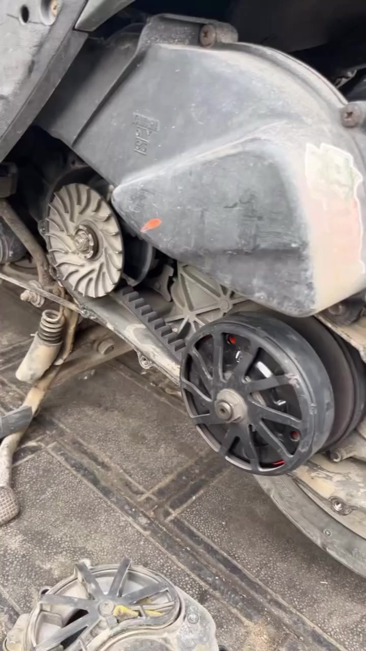 السلام عليكم بيع أو مراوس بدووون نطايح 
***********

 دراجه حيل نظيفه جيب وياك فيتر وافحص شغل 
واطلع
مكفوله (كفاله عامه)

إذا اكو  ان ماكس أو لد أو شمعه أو جبلي نظيفات

سكنس نازله من الرمبه قبل شهرين كور رياضي بلاد وبوشه
58 بلاد وكلجات رياضي بلاد هم من الرمبه وصالنصه رياضي بلاد بس مو هاي المشدوده البلاديه صورتها جوه
