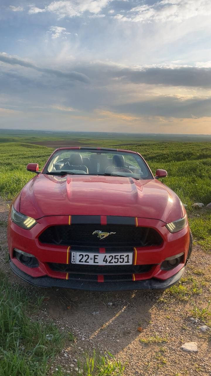 Ford Mustang / 114 $$$ ورقه 🔥 

- سلام عليكم / فورد موستانگ 2017 
- السيارة فول المواصفات سقف مرغوب 

- المواصفات السيارة …. 
- شاشة كبيرة ، كشن جلد ، كشن هيتر 
- كشن تدفئة ، كشن كهربائي ، بصمة 
- و بعد المواصفات مرغوبه يعني فوول 1/1 

- ضرر السيارة : حيزام صبخ 
- بدون دواخل و بدون شواصي بشرط
- گير محرك بشرط محرك ٤ سلندر توربو 
- السيارة بدون مصرف و بدون اي نواقص
- تخم تايرات جديد ، تخم ويل جديد
- تخم امامي جديد ، تخم خلفي جديد
- دواخل سيارة جديد ، پاتري جديد
- يعني السيارة بدون مصرف و بدون نواقص بشرط

- السعر رخيص / 114 $ ورقه و مجال
- مكان السيارة : دهوك
- الهاتف : 0750.773.29.95


**إذا كنت صاحب هذا الإعلان وتريد حذفه لأي سبب، رجاءا أرسل رسالة إلى الدعم الفني**