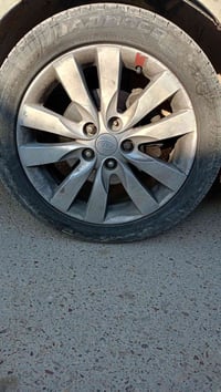 ويل • مراوس بويل