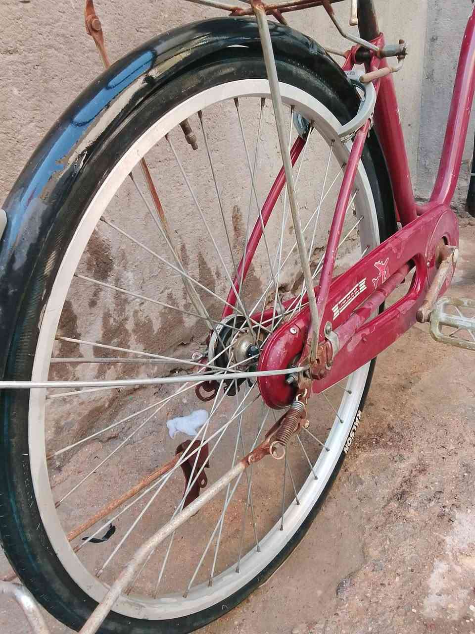 باسكل البيع ب50 الف الاستفسار ***********0  سوق حي العسكري @

