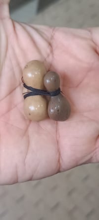 الحجر • ألوان • خبرة