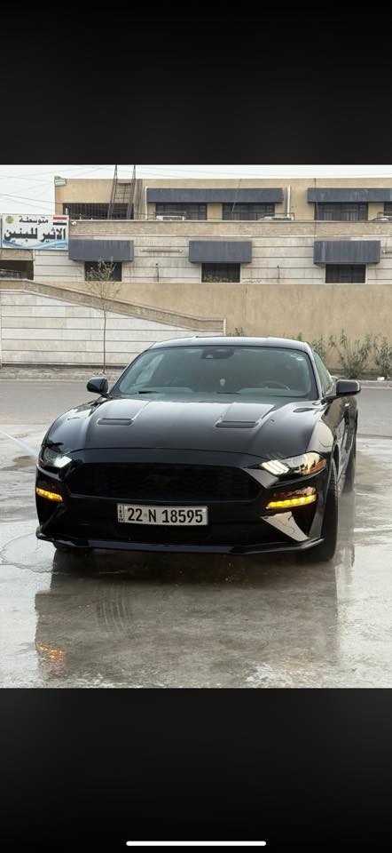 موستانج 2023 standar بيع  او مرواس حسب الرغبة
‏ EcoBoost 2.3 

رادار امامي 

شاشة كبيره 

كاربلاي 

تحديد مسار 

ماشيه 14 الف

السياره رقم كاتي ورقمته ب اسمي 

حادث الجاملغ الايمن وراجع نفسه 

الجاملغ الايسر بارد بي على كد شبر 

مكفوله من شواصي ولغود والبدنه 

الايرباكات مكفولات سليمات كلهن 

السياره صفر مسج نضيفه ومتحتاج شي 

السياره ماشيه فقط 14 الف 

للاستفسار ***********

