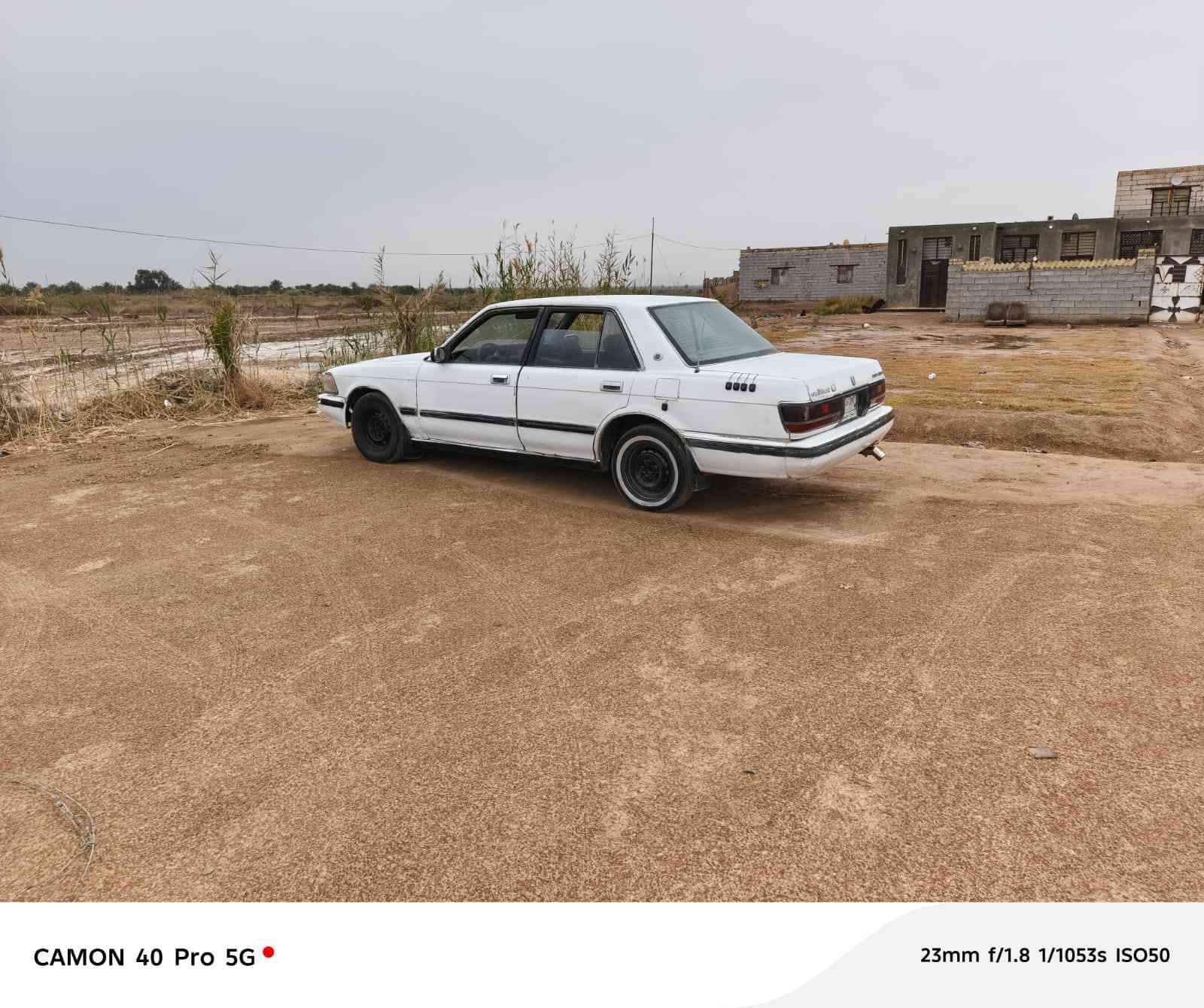 سيدان مديل 92 مكفوله رقم ميسان سنويه لل 28 مشروع وطني مكينه وكير فيفيتي شرط كارتون حداديه نضيفه تخم تاير جديد كهربايات من طول للطول شغاله دواخل كلش حلوه سياره جاهزه مال جناي السعر 33 وبيه مجال او مراوس مكاني شطره للستفسار ‏‪***********‬‏
