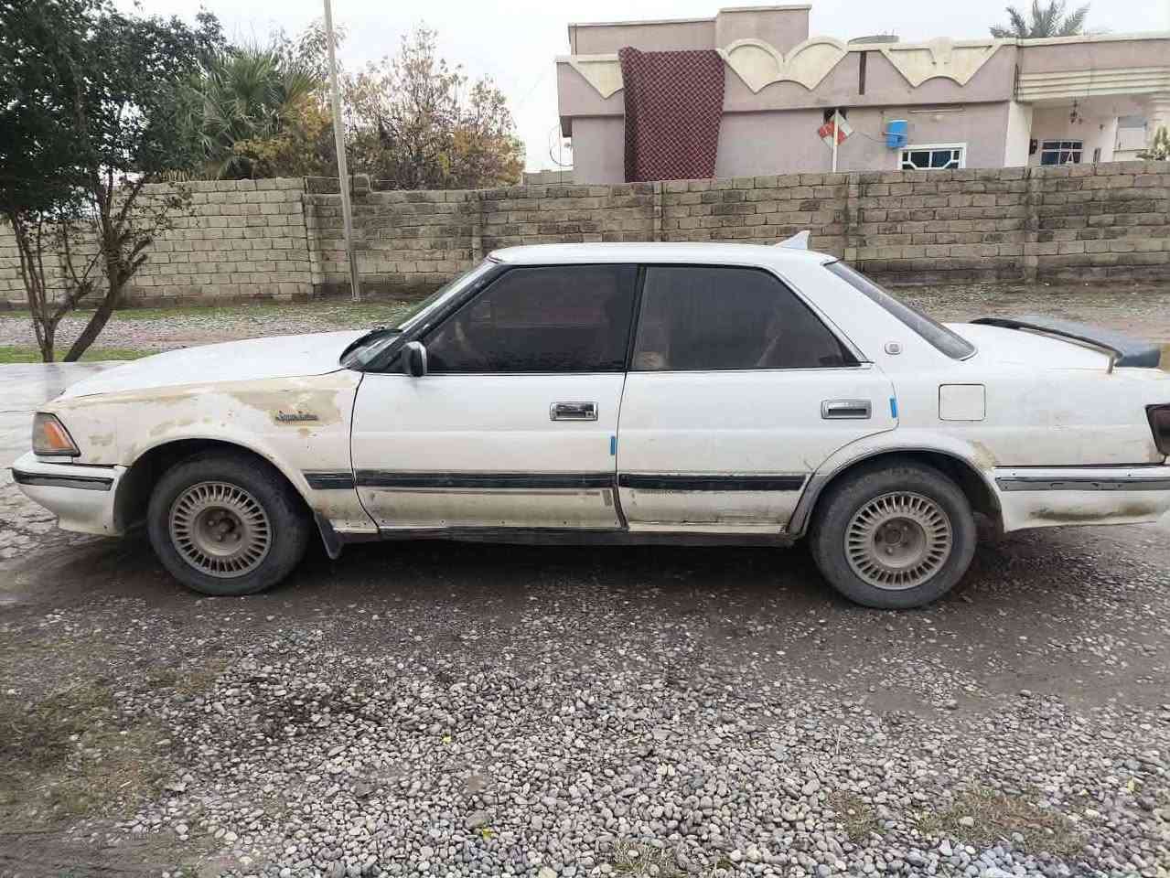 هورتوب
للبيع ومراوس
صلاح الدين 
 سنوسه عضم لل ٢٠٢٧
شرط التحويل
السعر تعال وتبشر
قصاط اعذرني 
***********
