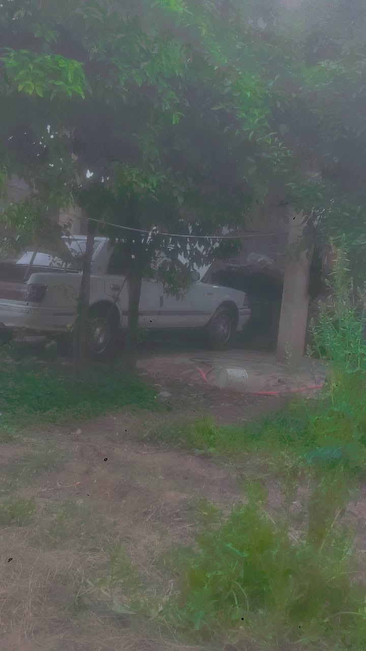 السلام عليكم . هارتوب 91 محرك 2500 ديلكو تخم تأير باتري جديد محرك كير خير من الله صدر 80 / 100 سنويه بسمي رقم كركوك انكليزي مابيه صبغ عل البلاد مكفوله من كلشي كهربائيات كله شغاله السعر 35 وبيه مجال بكان ديالى الخالص *********** وتساب هم موجود تحياتي
