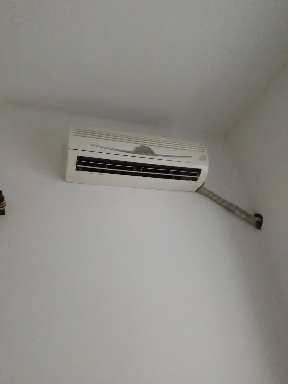 ئەم سێ سپلیتە بۆ فرۆشتن
۰۷٥۱۰٨۰٨۰۹۰


**إذا كنت صاحب هذا الإعلان وتريد حذفه لأي سبب، رجاءا أرسل رسالة إلى الدعم الفني**