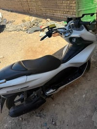 07737561193