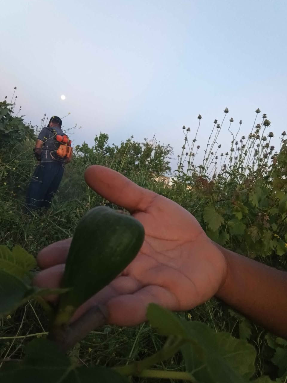 ‎تين باذنجاني اسود‎ موصل, نينوى


**إذا كنت صاحب هذا الإعلان وتريد حذفه لأي سبب، رجاءا أرسل رسالة إلى الدعم الفني**