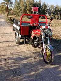 ستوتة ام الطير • موديل ٢١ • ديالى الخالص