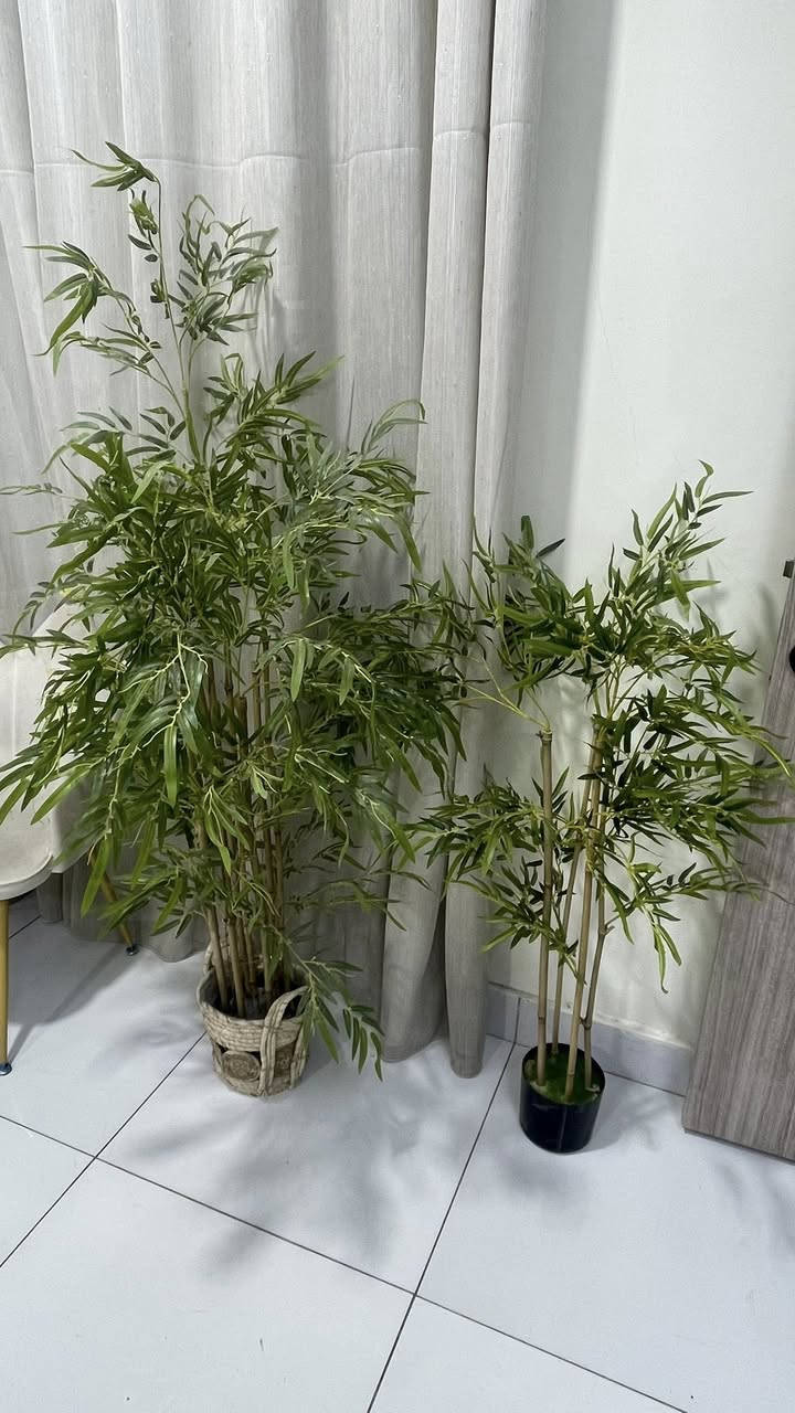 السلام عليكم
اجهزة واثاث ومواد للبيع جديدة استعمال قليل جداً الاسعار ثابتة لان مخصوم من سعر القطعة مسبقاً 50% تقريباً للتواصل ***********.
