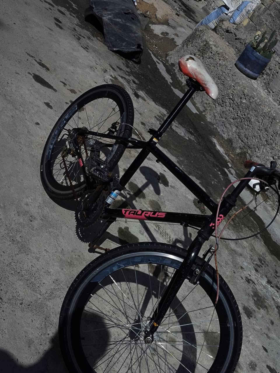 سلام عليكم بايسكل c700 حجم 24 بايسكل الشة الالمنيوم و بايسكل يخبل نظيف فقط صارلي هواي تاركه و يرالده بس تبديل واير مال بريك فقط هاذ كشي ما يرادله     رايده ب 60 و بي مجال حك لجية مكاني بغداد الشعب يم محطة سما بغداد رقمي *********** و متواجد خاص

