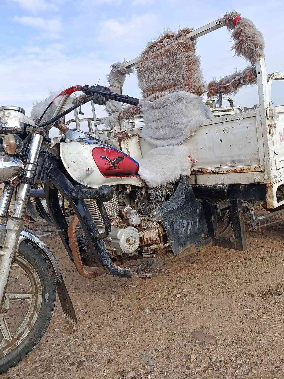 يالله
  للبيع ستوتات 💚
1 /الفحل موديل 17 كهربايات شغاله شرط محرك 200c
شاصي +ركبه شرط 
2 / النثيه موديل 19 محرك 19 كهربايات شغاله شرط محرك 150c شاصي +ركبه شرط نكره سلف
مكان الستوتات صلاح الدين قضاء  بيجي 
سعرهن 1350
هاتف للستفسار ***********
