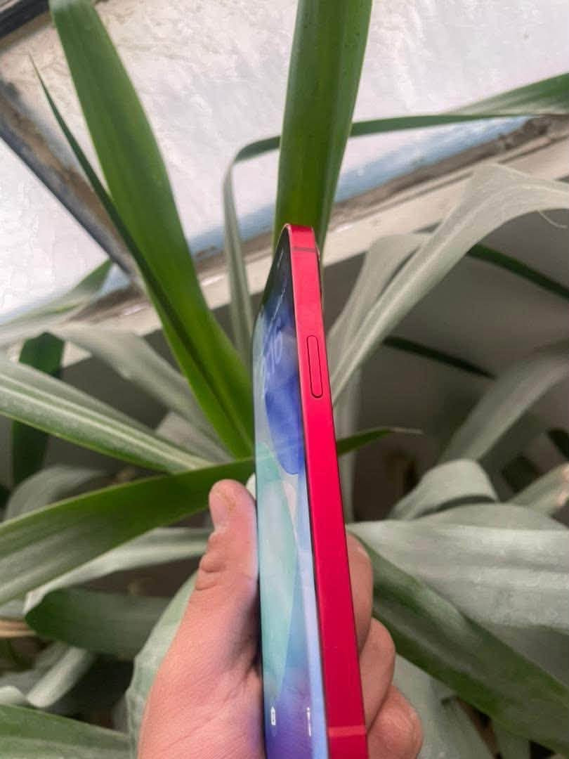 ♂️IPhone 13
ذاكره 128

بطاريه 88 وكاله✅

فقط مستبدل شاشه نوعيه كلش حلوه✅

ببجي 60 فريم ثابت✅

كامرات فول✅

للمراوس ب 12 برو او برو ماكس⁉️


**إذا كنت صاحب هذا الإعلان وتريد حذفه لأي سبب، رجاءا أرسل رسالة إلى الدعم الفني**