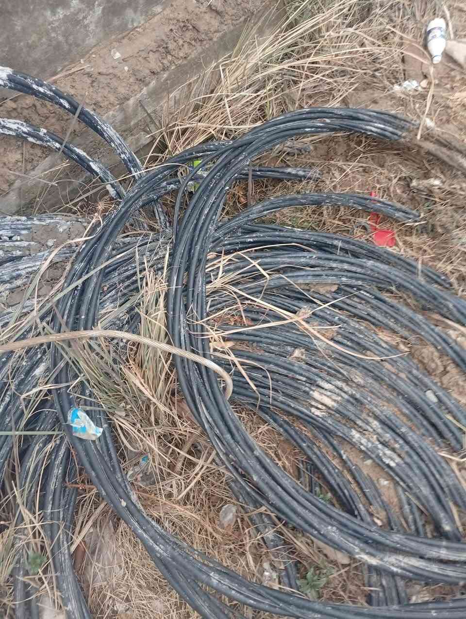 ضفيره نظيفه كلش أكثر من 100متر


**إذا كنت صاحب هذا الإعلان وتريد حذفه لأي سبب، رجاءا أرسل رسالة إلى الدعم الفني**