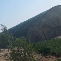 بيت زراعي • ٢٤×٩م • خور الزبير