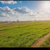 بابل مجزرة الخضراء • ٢٥٠٠م • سند ٢٥