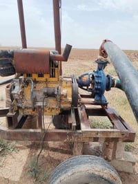 للبيع دويس ٣ بستم اتصال ٠٧٨٢٩١٩٠٢٤٣