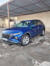 توسان • ٢٠٢٣ • وارد أمريكي