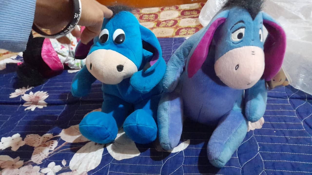 اسعار نار وخاص كبير وصط الحجم


**إذا كنت صاحب هذا الإعلان وتريد حذفه لأي سبب، رجاءا أرسل رسالة إلى الدعم الفني**