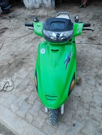 دراجة فراشة • فحل • كابريتر