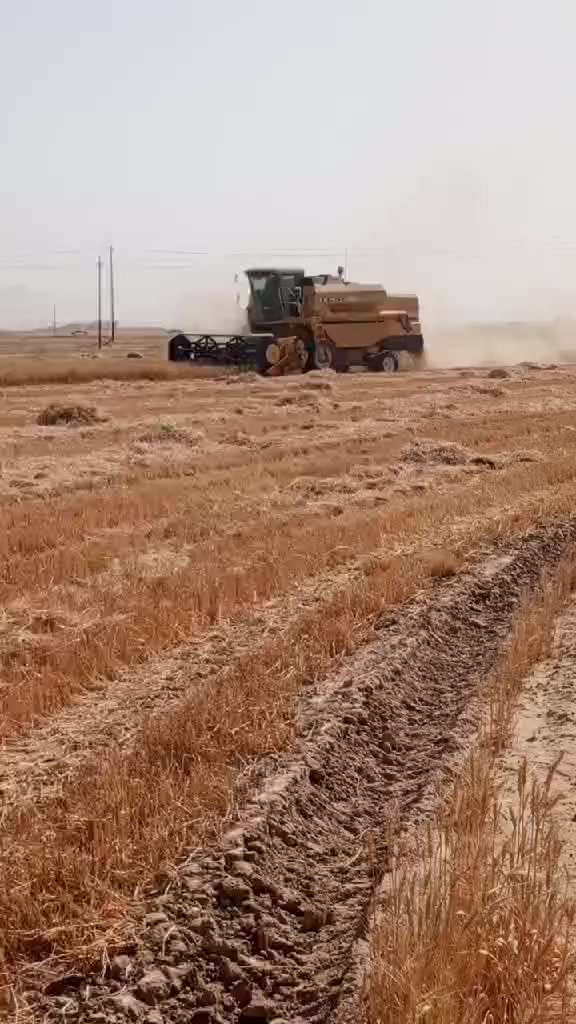 حاصوده البيع تك درام تخم تاير وشرط كلشي عله وكاله كير عادي وباقي تفاصيل عله هاذ رقم ***********سعره 40
