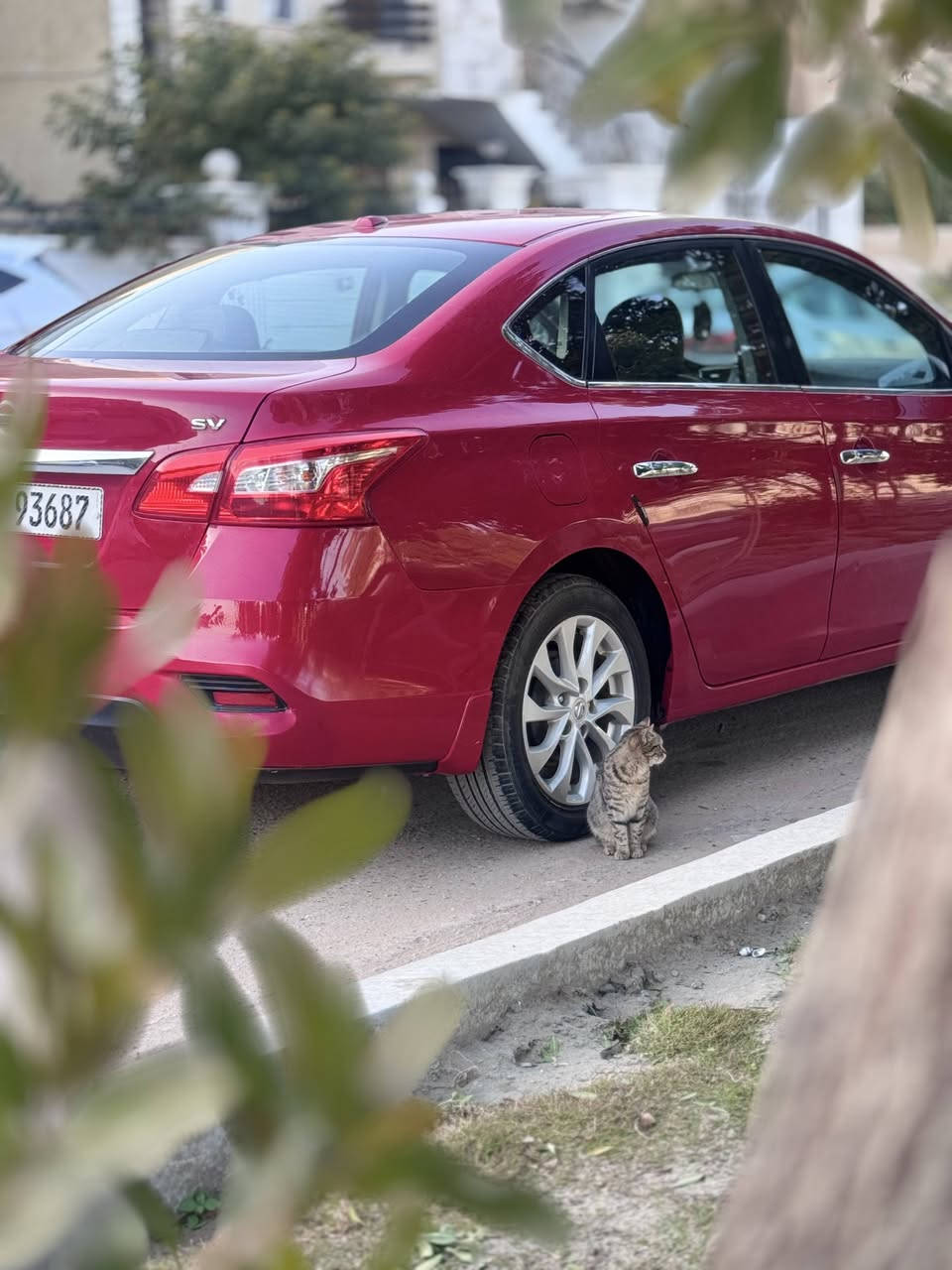 السلام عليكم
نيسان سنترا 2018 SV  وارد امريكي 
رقم بابل انكليزي سنوية لل31
 حادث خفيف جداً ...بدون ايرباك...بجم كبس..فقط جاملغ خلفي عكس السايق وراجع بارد مقدار شبر وطخه خفيفه بالدوسه مامبينه ...ماشية 111 كيلوا  كير ومكينة مكفولات تبريد ثلج
مواصفات ...
بصمة ..رادار..تحكم ستيرن..تبريد بيانو..ويل كب..مثبت سرعة..مانع انزلاق..شاشة وكاميرا..انظمة قيادة ايكو وسبورت وعادي محرك 1800
المكان بابل 
سعرها 130 وبيها مجال للشراي
هاتف ***********
غير متواجد ع الفيس صور الحادث مرفقه
