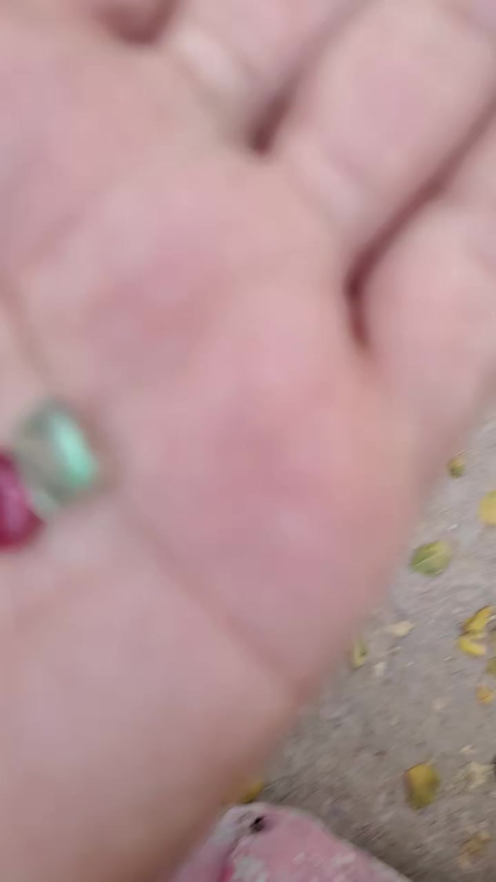 احجار للبيع


**إذا كنت صاحب هذا الإعلان وتريد حذفه لأي سبب، رجاءا أرسل رسالة إلى الدعم الفني**