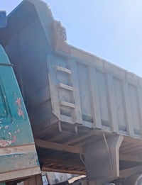 للبيع • كلاب • الهرمز