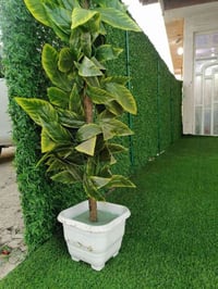 غراض مطعم كاملة للبيع ميز كص عدد (2) ميز تحضير كص سجاجين كص عدد ٤ طباخ...