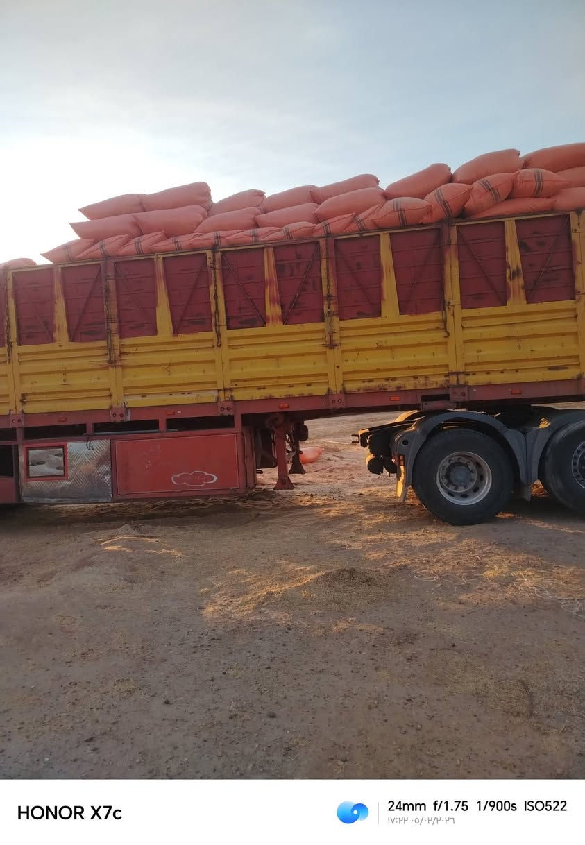 يوجد تبن مجروش كميه مفتوحه للبيع ***********وتساب
