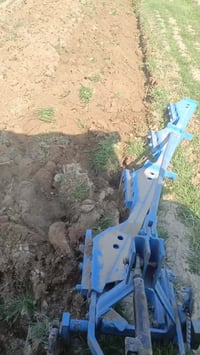 فدان أبو طير • مكفول