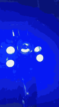 سلام عليكم ستوته للبيع موديل 20 محرك 25 اورق كامله ستوته احله من صور نكر سلف خير من الله المكان حي أور سبع قصور سعر مليون 350 رقم انتصال ‏‪***********‬‏
