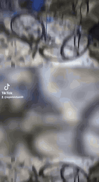 بايسكلات للبيع بناتي حجم 26 لون اسود طافي  مصبوغ صبغ حراري والثاني بلا...