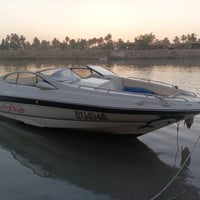 زورق • ريجال • مير كروزر