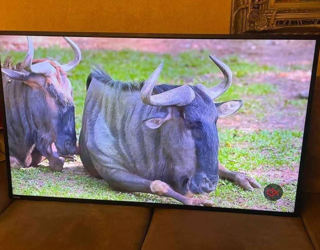 شاشة الحجم 50 سمارت ام النترنيت نظيفة مستعملة 
السعر 225 الف مكاني بغداد شعلة ***********
