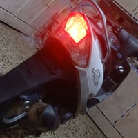 ماكس شلعه • معدل فول • مدينت الصدر