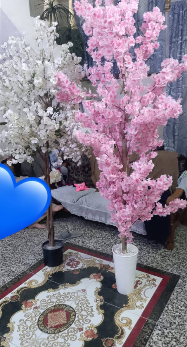 السلام عليكم لبيع هذن ستفسار خاص رقم ***********
