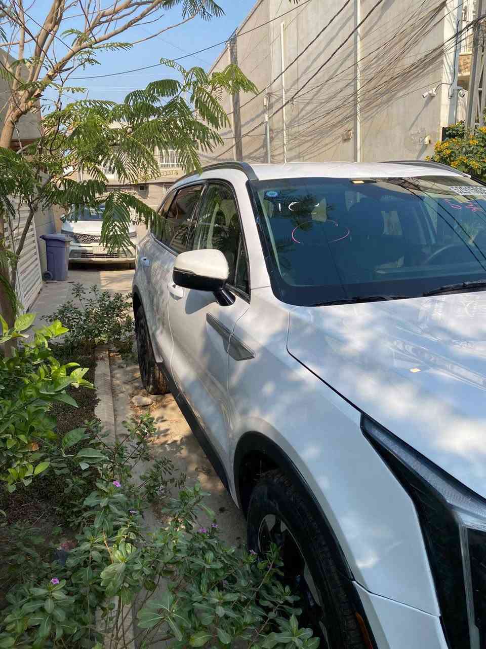 السلام عليكم كيا سورينتو s ماشية خمسة آلاف ميل موديل 2024 وارد امريكي صبغ جانب البنيد شي قليل ومقدمة الجاملغ بدون لوحات ايرباك ستيرن وبرده سبعه راكب مكفولة من الشاصي والغد حتى الدعامية نفسه للبيع الاتصال على الرقم ***********
