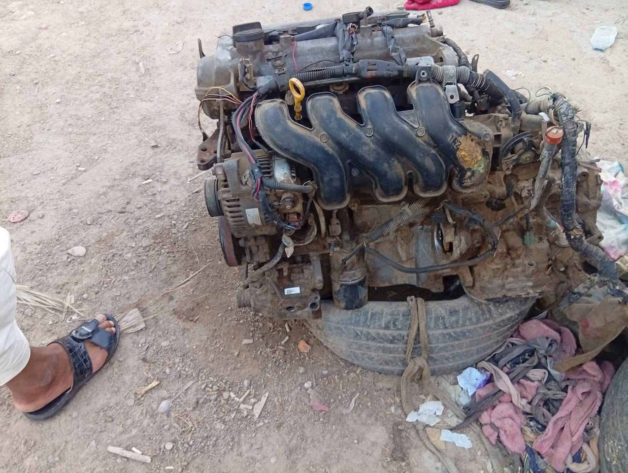 مكينه كورله نحله الف او ستميه جاهزه حته عقل بيه عوزه بس سلف
للبيع مكانه واسط 
***********
