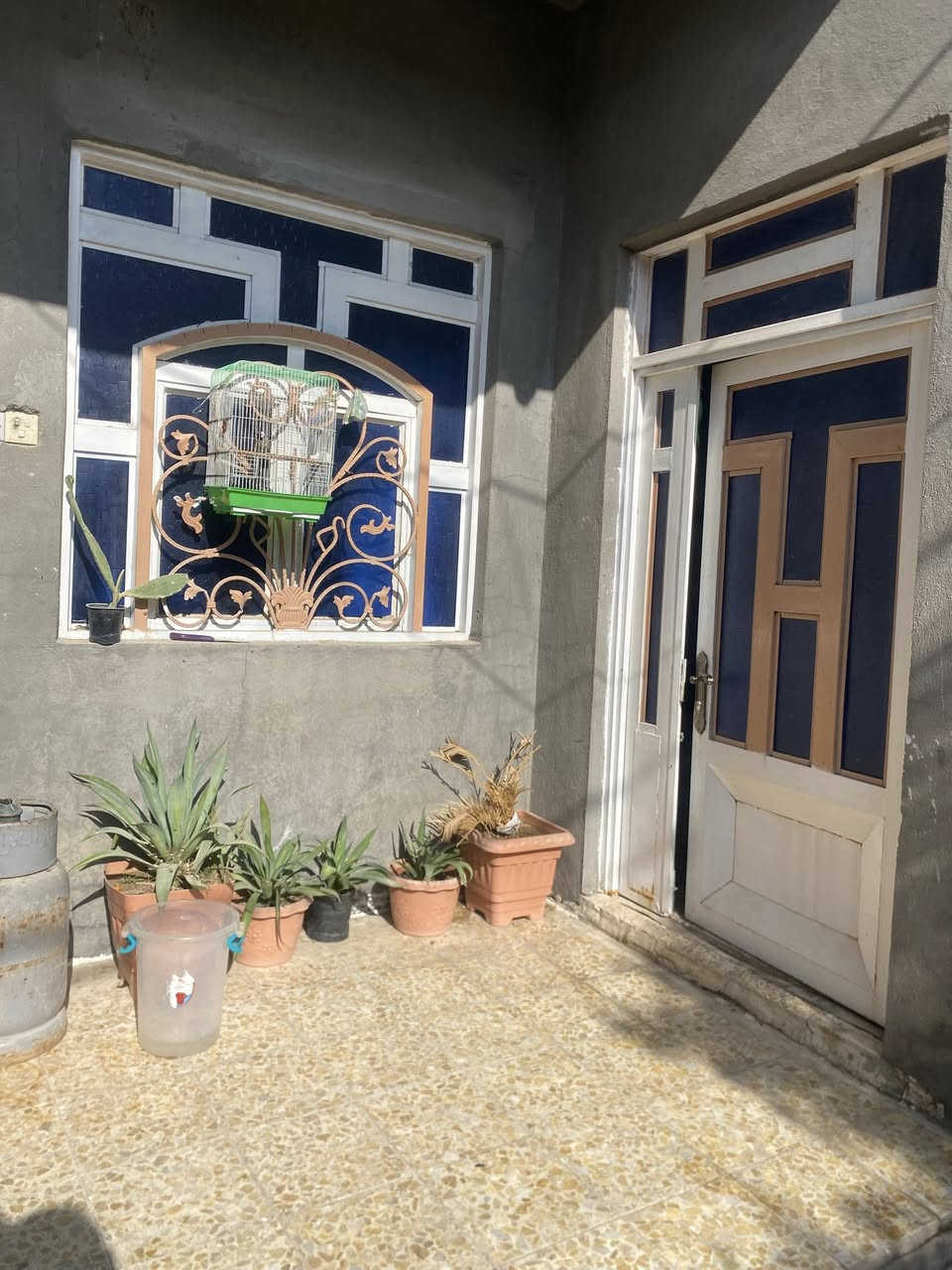 سلام عليكم 
بيت البيع طابو زراعي عرصات سيد ساير نهايت شارع صافي قرب جسر جديد 
مساحه ١٥٠ بناء غرفتين ستقبال وصحيات 
بناء جديد اساس صب  وطابوك بعده بلوك
سطح عگاده بسمي البيت مباشر 
هاي تفاصيله ذكره التصال ***********
سعر ٦٠ وبيه مجال قليل
