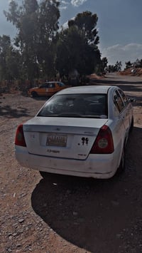 شيري • سنوية ٢٠٢٨ • رقم بابل