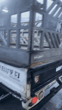 كياه فنتيره مديل ٩٩ محرك اثر نفخ  كير اكسن شرط اني صحبه شرعي وادور تحويل سنويه ٢٧ /*********** 
  *********** سعر74 بيه مجل
