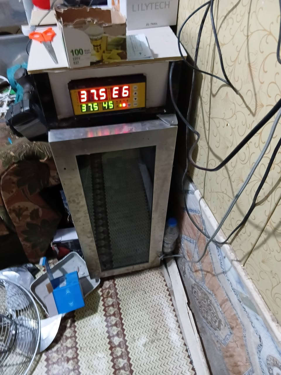 فقاسه شيل خير من الله مفقس بيه مره وحده طلعت ٩٠ من ١٠٠ وهسه حالين بيه بيض بس انا جبت ازغر منه وريد ابيعها رايده اب١٠٠ قفل مكاني بني منصور***********
