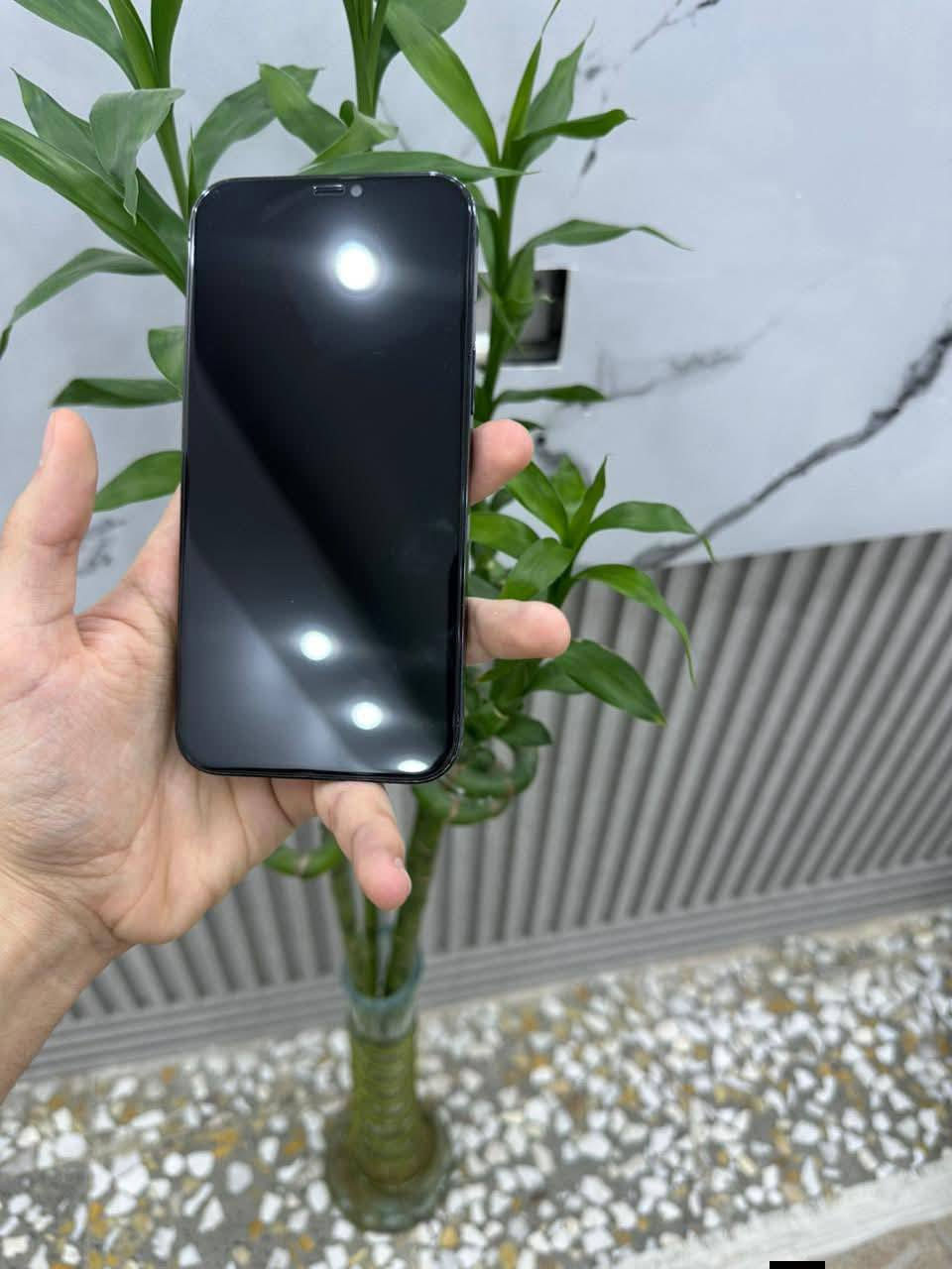 ايفون 12 برو ماكس ماستر AA/A ذاكره 256 بطارية 75 كفاله عامة على وضع الشركة شرط الفحص بالحاسبه للبيع او مراوس


**إذا كنت صاحب هذا الإعلان وتريد حذفه لأي سبب، رجاءا أرسل رسالة إلى الدعم الفني**