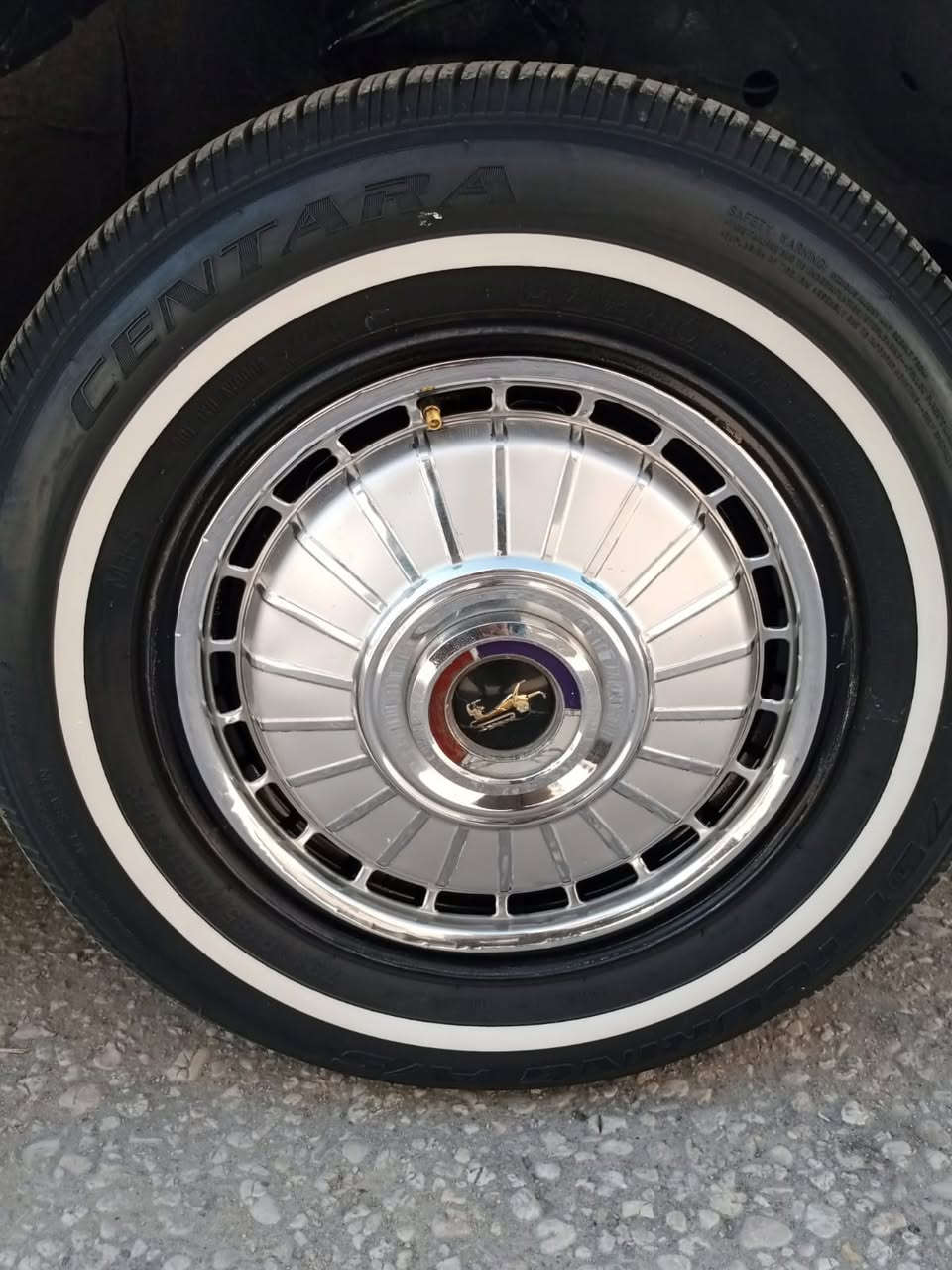 السلام عليكم تخم كبات ابو الاسد نضيفات مكان نجف ***********
