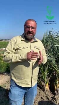 فسائل النخيل • زراعة • العدوانية