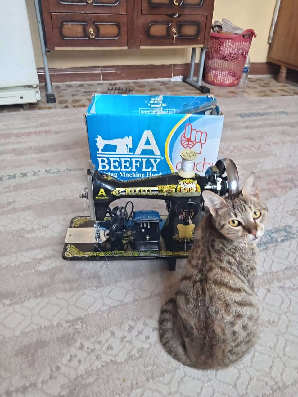 سلام عليكم غسالة ملابس السعر ١٧٥ ماكنة خياطة جديده ٥٠ وبيها مجال الشراي يتصل ويدلل***********
